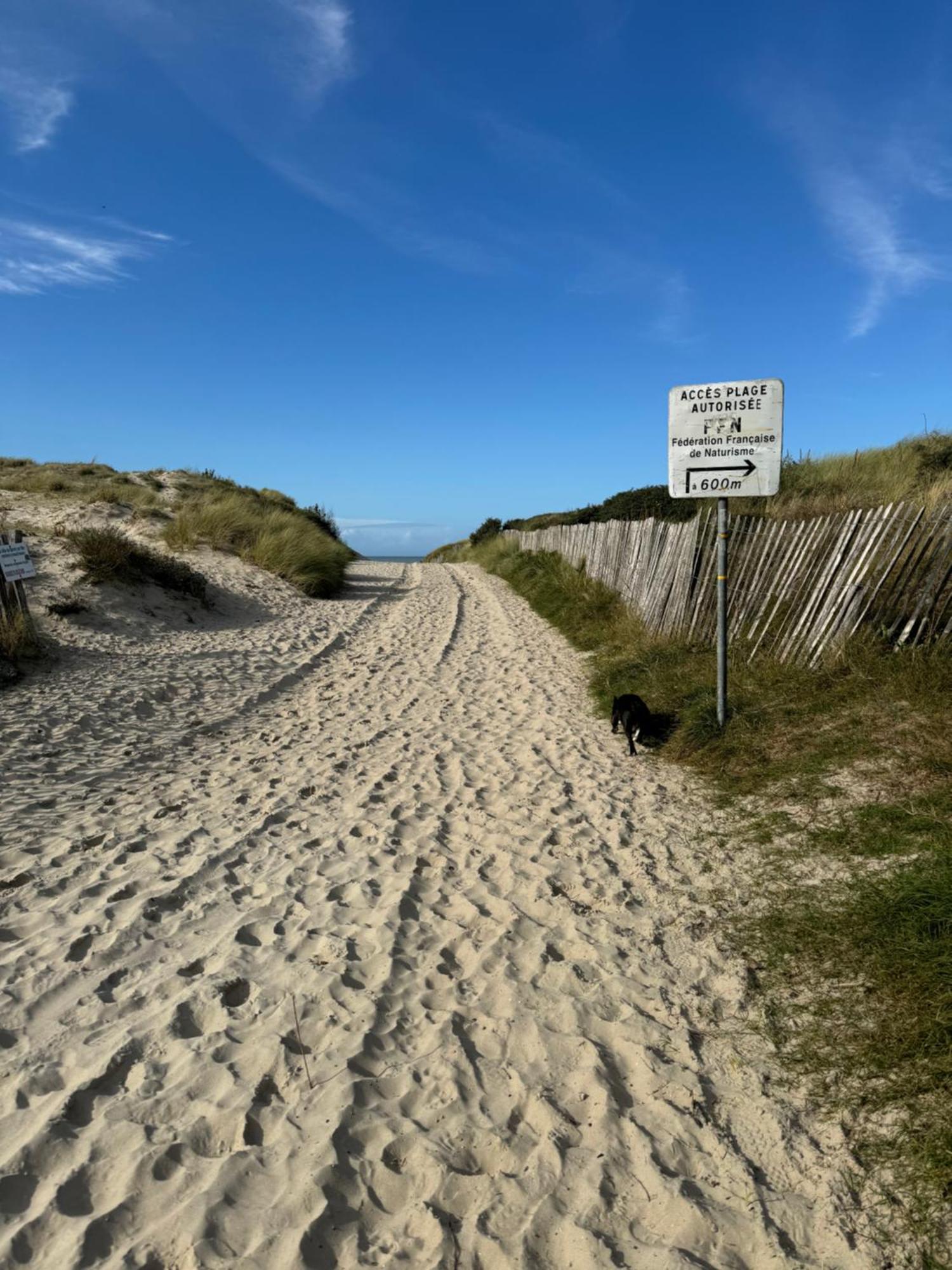 Le Paillette T2 400 M De La Plage Berck Dış mekan fotoğraf