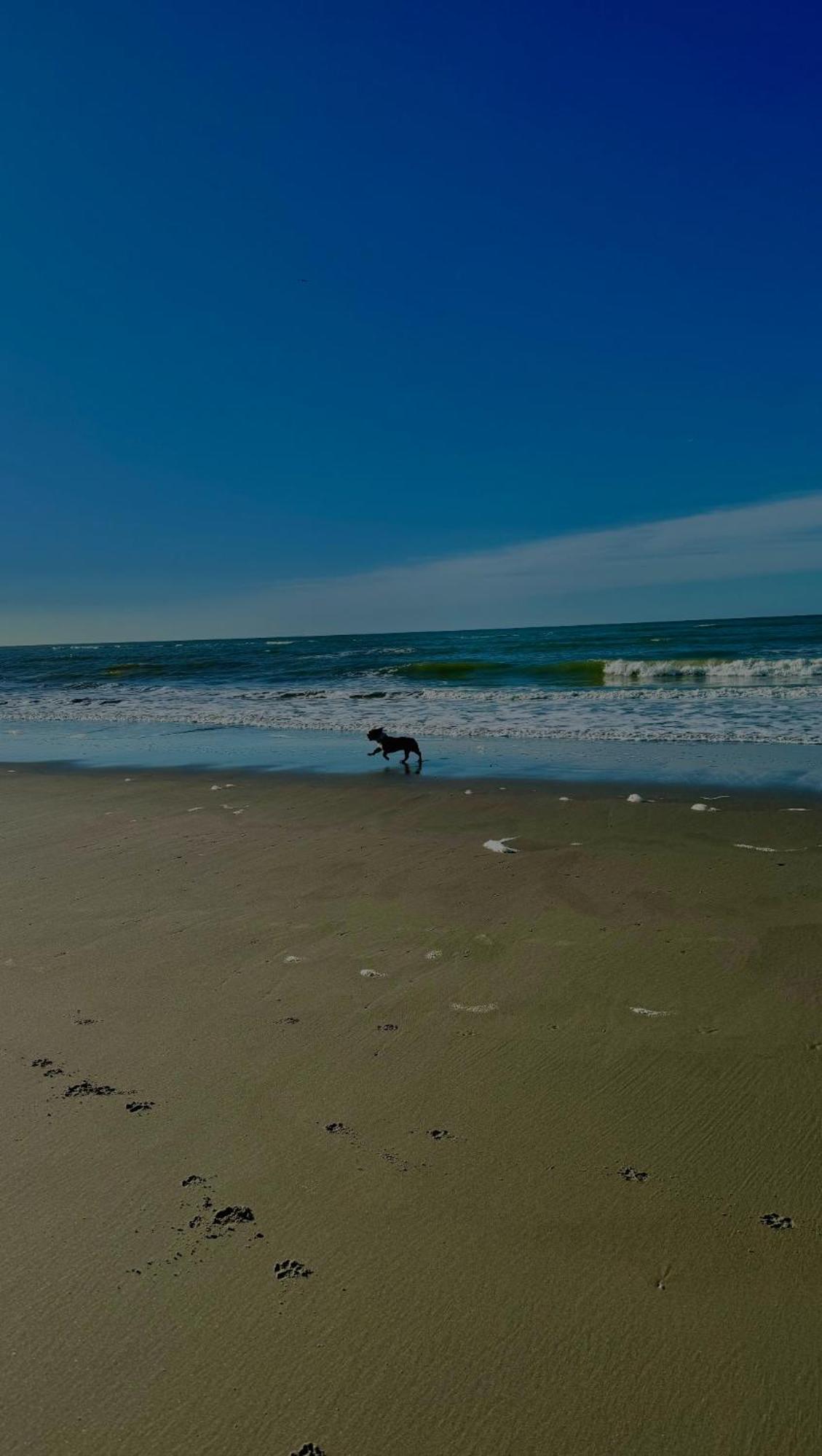Le Paillette T2 400 M De La Plage Berck Dış mekan fotoğraf